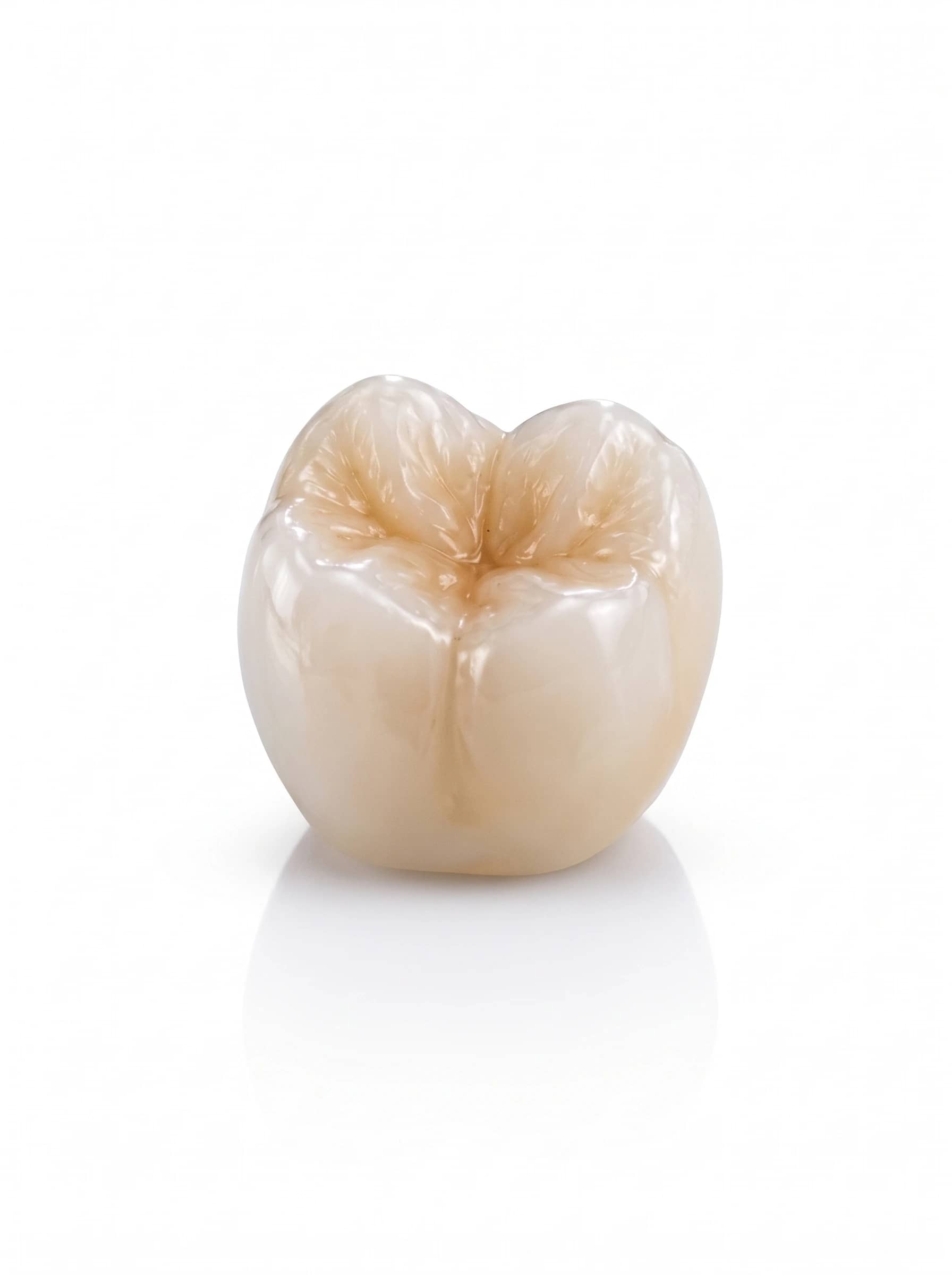 Ceramic dental crowns on a white background